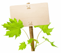 Fiberglass | Why We Are Bullish on the Industry Right Now